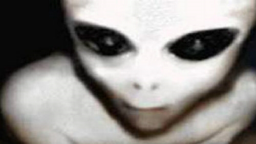 Ing. Lubomír Veselý