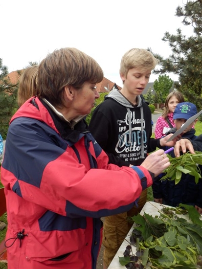 Profilový obrázek učitele