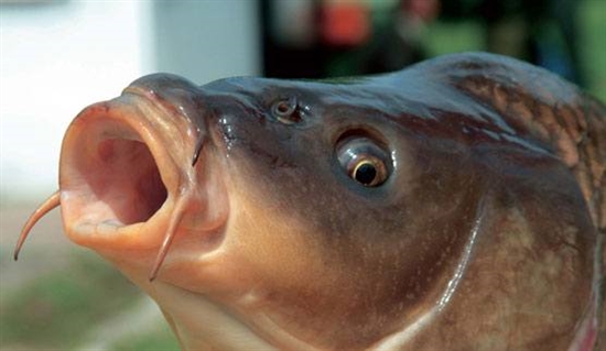 Mgr. Daniel Janošec