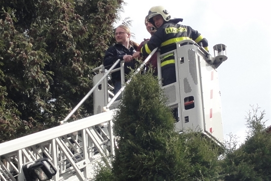 ZŠ Heleny Salichové