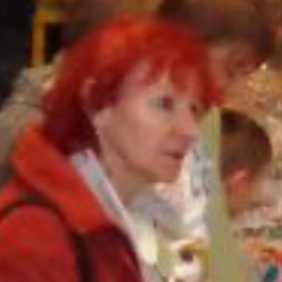 Profilový obrázek učitele