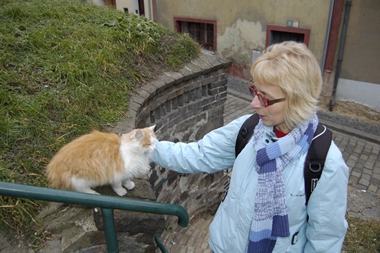 Profilový obrázek učitele