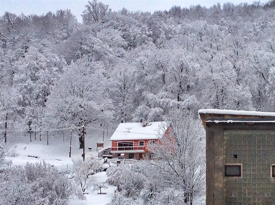 Mgr. Kateřina Konířová
