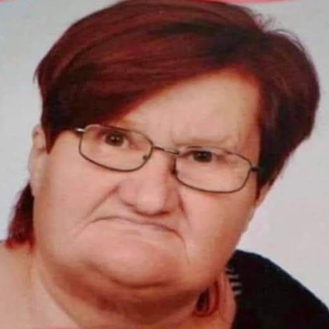Střední průmyslová škola, Ústí nad Labem, Resslova 5, příspěvková organizace