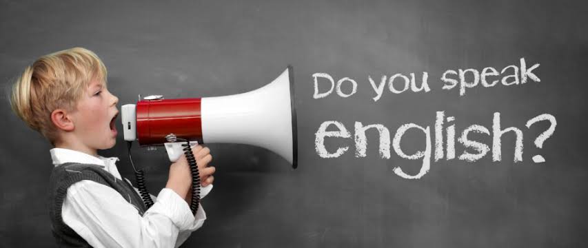 ing. Hana Ledvinová