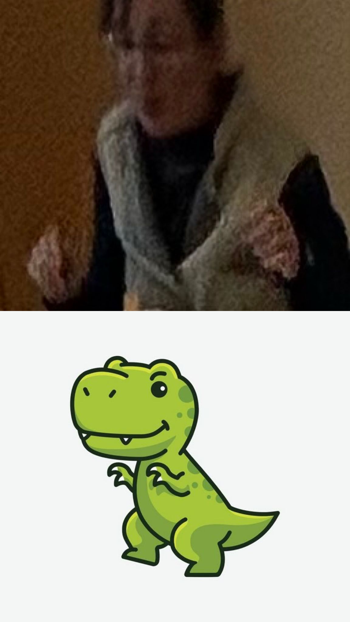 Profilový obrázek učitele